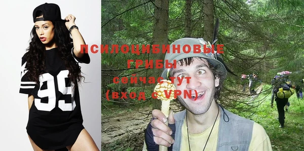 эйфоретик Абинск