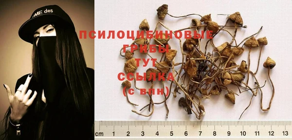 эйфоретик Абинск