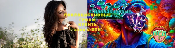 mix Абаза
